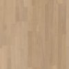 live pure oak andante thumb 1221zzzzz